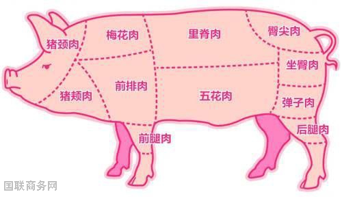 食堂承包公司翔輝膳食教你如何辨別不同部位豬肉